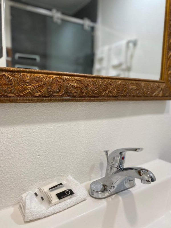 Ritz Inn-San Francisco Airport SFO image 19